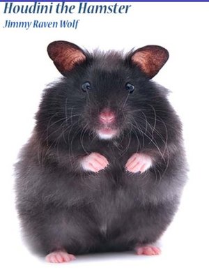 cover image of Houdini the Hamster